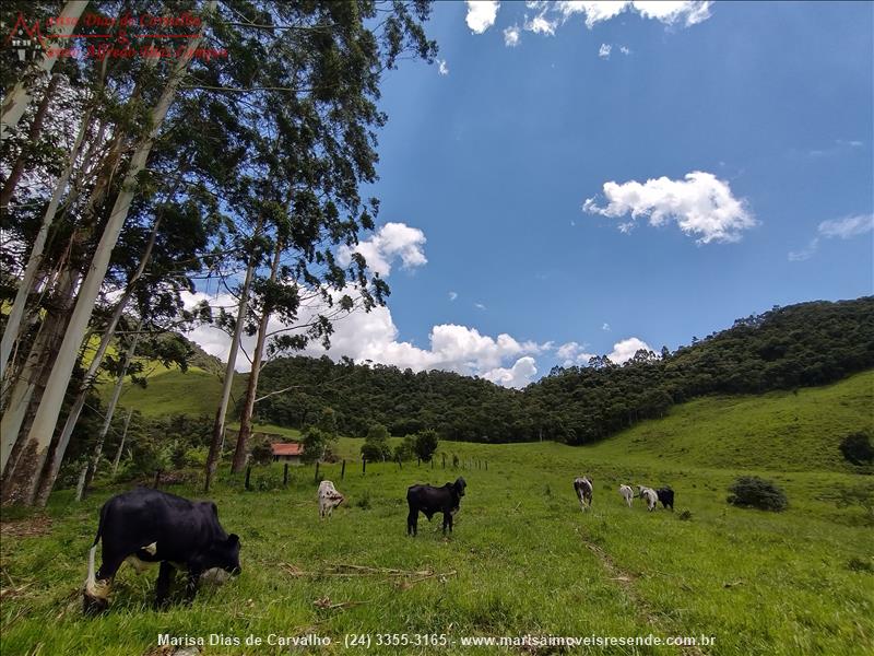 Sítio a Venda no Outros em Bocaina de Minas